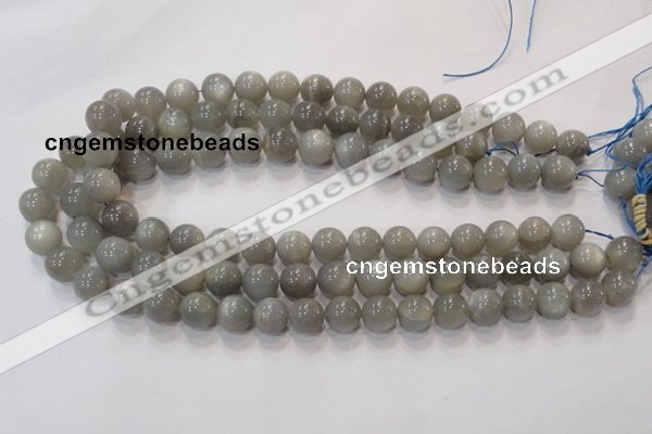 CMS306 15.5 inches 11mm round natural grey moonstone beads wholesale