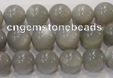 CMS307 15.5 inches 12mm round natural grey moonstone beads wholesale