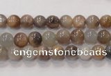 CMS310 15.5 inches 6mm round natural moonstone beads wholesale