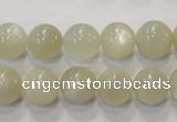 CMS313 15.5 inches 10mm round natural moonstone beads wholesale