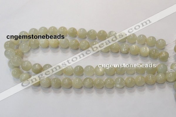 CMS313 15.5 inches 10mm round natural moonstone beads wholesale