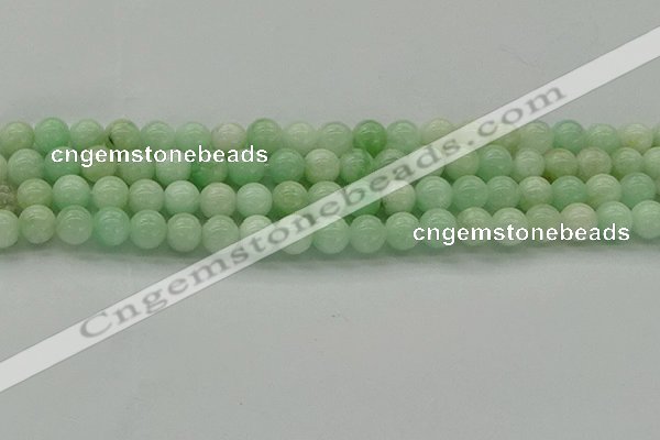 CMS411 15.5 inches 6mm round green moonstone beads wholesale