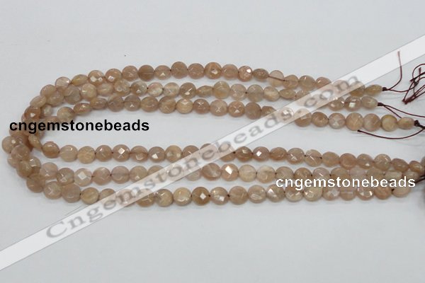 CMS43 15.5 inches 8mm faceted coin moonstone gemstone beads