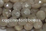 CMS44 15.5 inches 10mm faceted coin moonstone gemstone beads