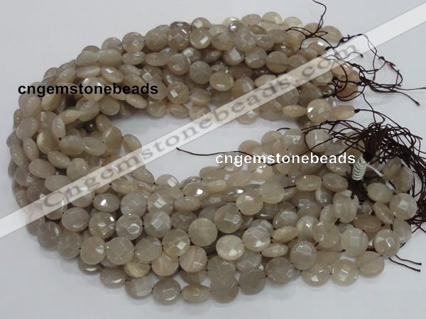 CMS44 15.5 inches 10mm faceted coin moonstone gemstone beads