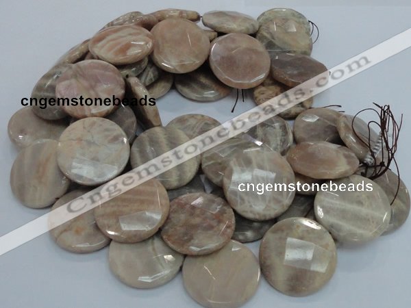 CMS49 15.5 inches 40mm faceted coin moonstone gemstone beads