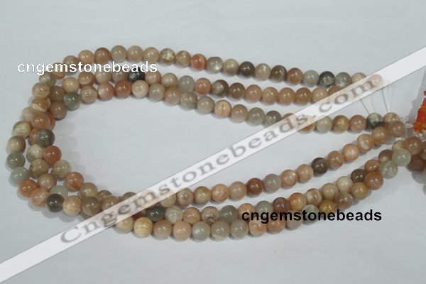 CMS503 15.5 inches 8mm round moonstone beads wholesale