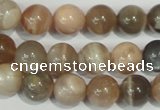 CMS504 15.5 inches 10mm round moonstone beads wholesale