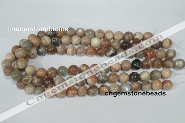 CMS505 15.5 inches 12mm round moonstone beads wholesale