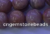 CMS507 15.5 inches 16mm round moonstone beads wholesale