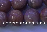 CMS507 15.5 inches 16mm round moonstone beads wholesale