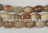 CMS511 15.5 inches 8*12mm rice moonstone beads wholesale