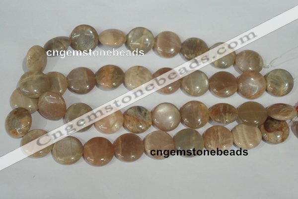 CMS525 15.5 inches 20mm flat round moonstone beads wholesale