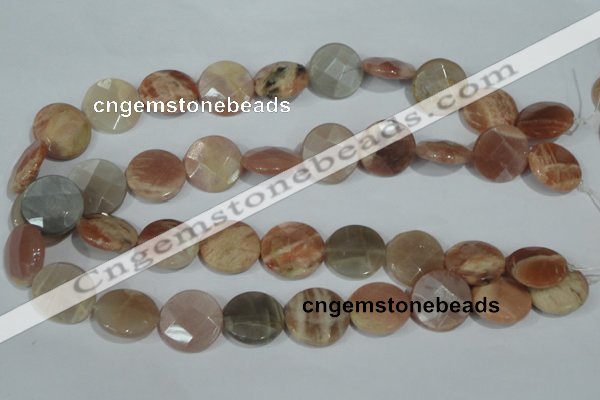 CMS558 15.5 inches 20mm faceted coin moonstone beads wholesale