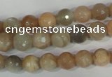 CMS571 15.5 inches 8mm faceted round moonstone beads wholesale