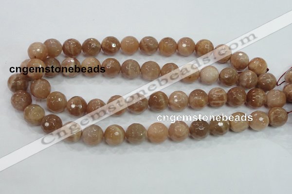 CMS62 15.5 inches 14mm faceted round moonstone gemstone beads