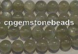 CMS652 15.5 inches 8mm round grey moonstone beads wholesale