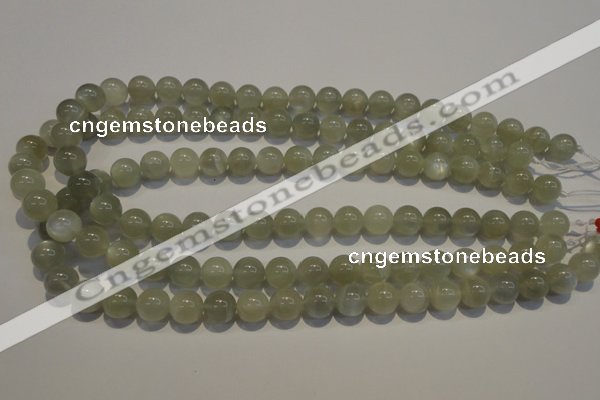 CMS653 15.5 inches 10mm round grey moonstone beads wholesale