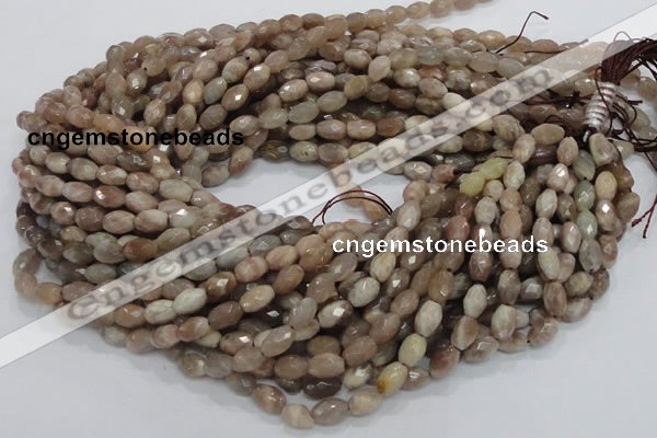 CMS70 15.5 inches 6*10mm faceted rice moonstone gemstone beads