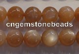 CMS734 15.5 inches 12mm round A grade natural peach moonstone beads