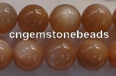 CMS736 15.5 inches 16mm round A grade natural peach moonstone beads