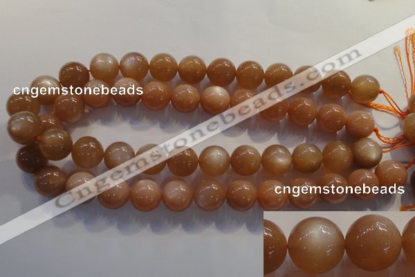 CMS736 15.5 inches 16mm round A grade natural peach moonstone beads