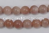 CMS754 15.5 inches 10mm round natural moonstone beads wholesale