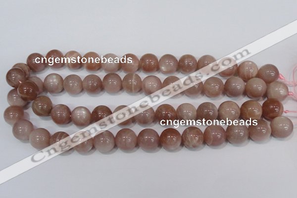 CMS756 15.5 inches 14mm round natural moonstone beads wholesale