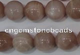 CMS757 15.5 inches 15mm round natural moonstone beads wholesale