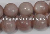 CMS759 15.5 inches 17mm round natural moonstone beads wholesale