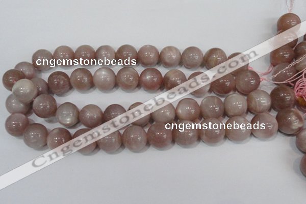 CMS759 15.5 inches 17mm round natural moonstone beads wholesale