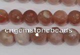 CMS765 15.5 inches 10mm faceted round natural moonstone beads