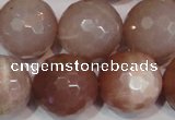 CMS770 15.5 inches 20mm faceted round natural moonstone beads