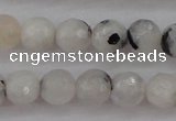 CMS801 15.5 inches 6mm faceted round white moonstone beads