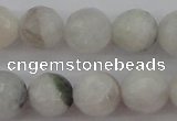 CMS802 15.5 inches 8mm faceted round white moonstone beads