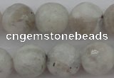 CMS803 15.5 inches 10mm faceted round white moonstone beads