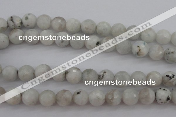 CMS804 15.5 inches 12mm faceted round white moonstone beads