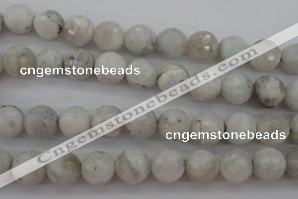 CMS805 15.5 inches 14mm faceted round white moonstone beads