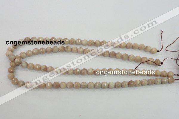 CMS83 15.5 inches 8mm faceted round moonstone gemstone beads