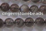 CMS852 15.5 inches 8mm round natural black moonstone beads