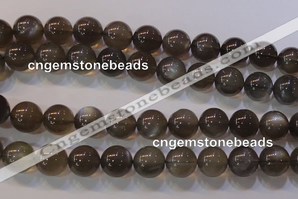 CMS855 15.5 inches 14mm round natural black moonstone beads