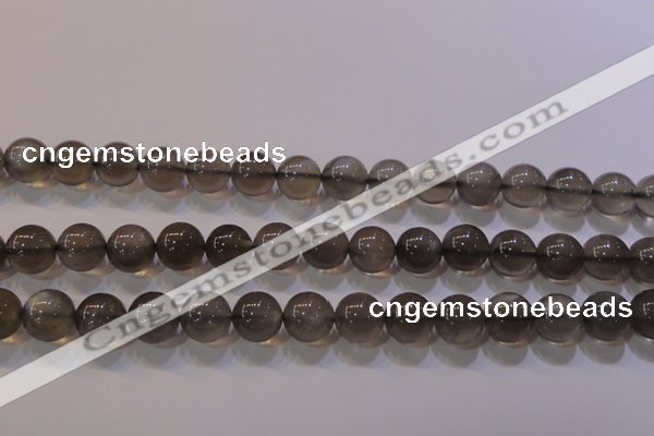 CMS860 15.5 inches 10mm round A grade natural black moonstone beads