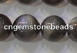 CMS861 15.5 inches 12mm round A grade natural black moonstone beads