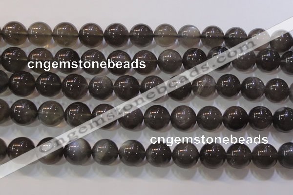 CMS861 15.5 inches 12mm round A grade natural black moonstone beads