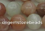 CMS895 15.5 inches 14mm round moonstone gemstone beads wholesale