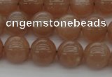 CMS932 15.5 inches 8mm round A grade moonstone gemstone beads