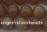 CMS933 15.5 inches 10mm round A grade moonstone gemstone beads