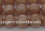 CMS934 15.5 inches 12mm round A grade moonstone gemstone beads