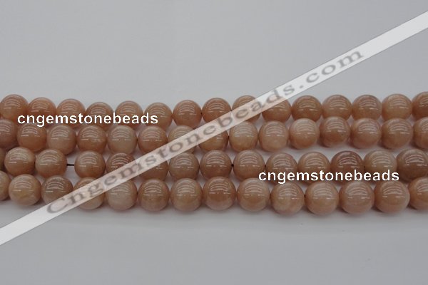 CMS934 15.5 inches 12mm round A grade moonstone gemstone beads