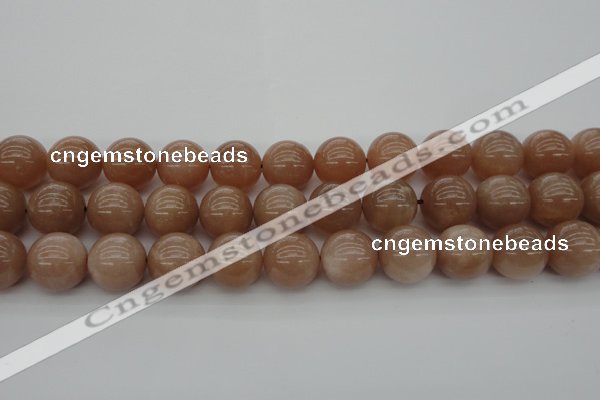 CMS935 15.5 inches 14mm round A grade moonstone gemstone beads